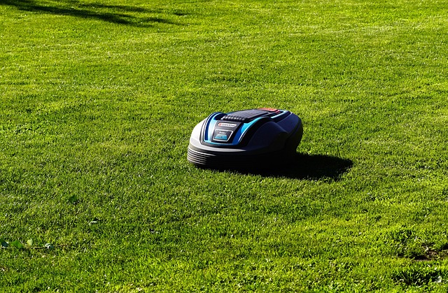 Sådan gør du klar til robotplæneklipper i haven